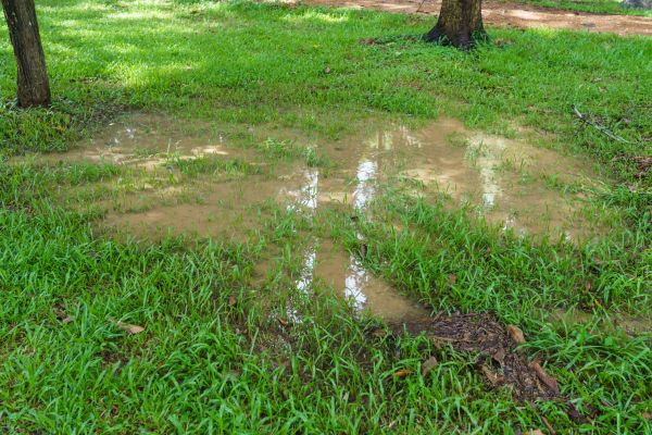 Cost of Storm Water Drainage Service in Eagle