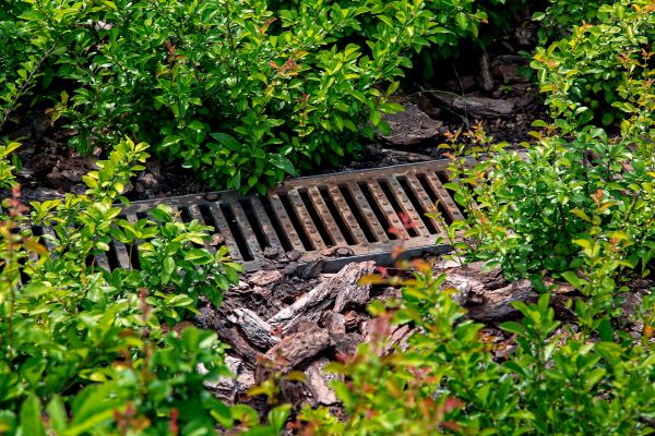 Cost of Underground Drainage Service in Eagle