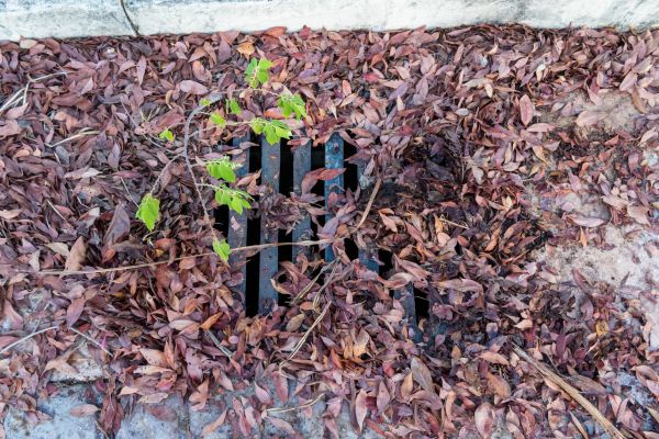Cost of Yard Drain Unclogging in Eagle