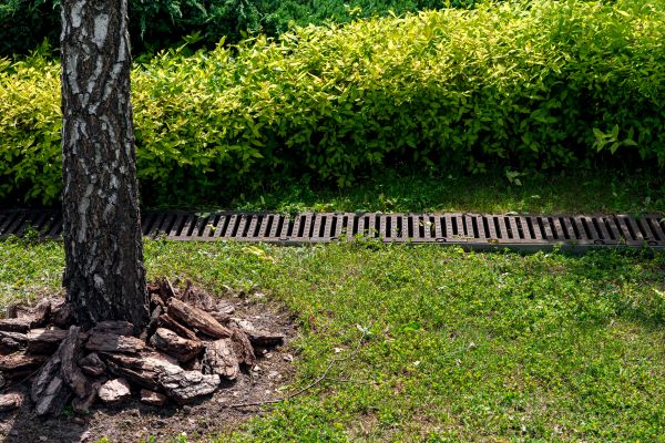 Cost of Wet Yard Drainage in Eagle