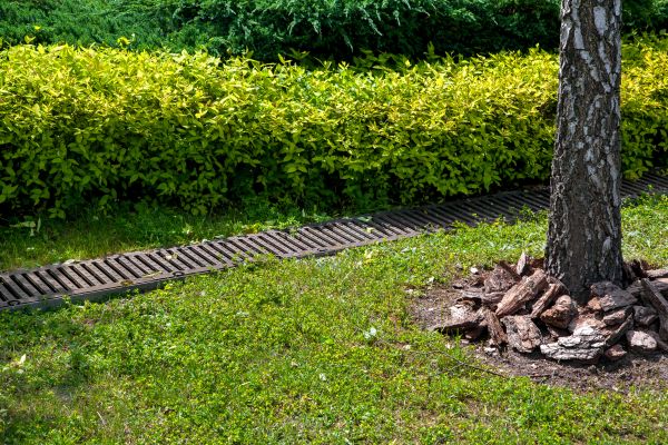 Cost of Residential Landscape Drainage in Eagle