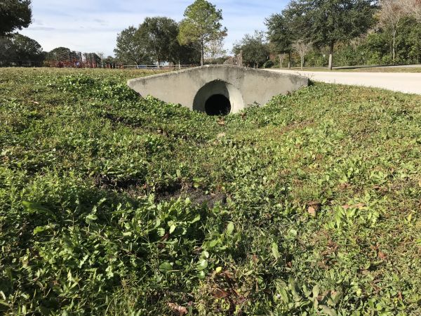 Cost of Swale Drainage Service in Eagle