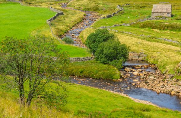 Cost of Swale Repair in Eagle